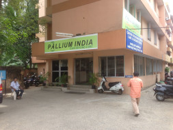 Help Paint Pallium!