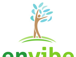 Support Envibe to reduce and recycle waste in municipal schools