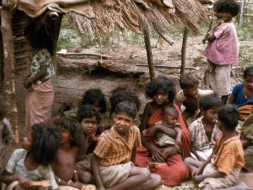 This New Year, let's feed tribal children in Attappadi, Kerala