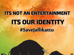 Supporting people who are in the Marina beach to save our culture