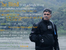 Bird with a single wing