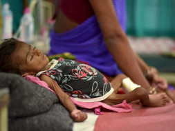 Feed a Tribal Child from Hunger