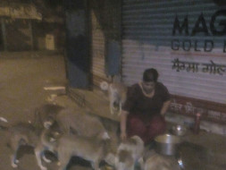 Feeding Program, Vaccination drives&Emergency fund for Vikhroli Strays