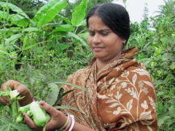 My Mother Walks Six Kms To Teach Kids. Help Me Gift Her A Scooty