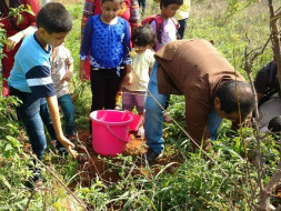 Support Tree Plantation Drive At Malur