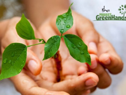 Offset your carbon footprint this World Environment Day