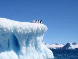 Expedition to Antarctica for Sustainable Change