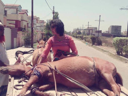 Should They Heal Or Die In Agony , Let Us Try To Lift Them Once.