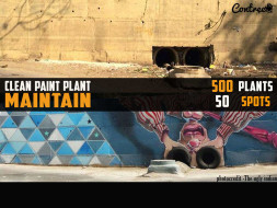 Clean Paint Plant & MAINTAIN Jaipur City