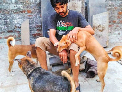 Help Shanmuga Sundaram to pay vet bills for his rescued Animals
