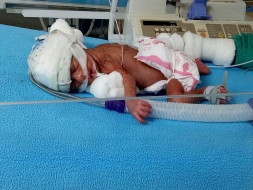 Cinderella's Baby Needs Your Help To Survive And Make It In This World