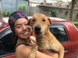 Help Bhoora Fly To His Forever Home