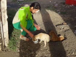 Help Us Build A Rehab Center & Treatment Unit For Stray Animals