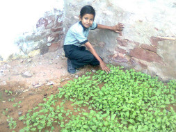 My son suffocates while walking, help him undergo heart surgery