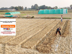 Help Me Educate People And Break The Myth On Organic Farming