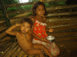 Plight Of The Saranda And Tribes Of Jharkhand