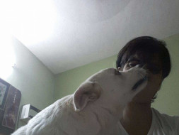 A Plea To Save My Animals And Their Home
