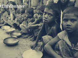 Fight Hunger - Feed the Hungry