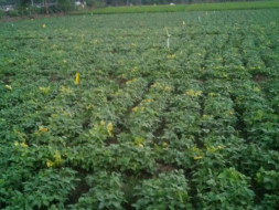 Save dryland farmers - make agriculture possible in drought.