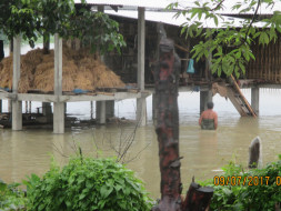 Need Support For Flood Affected People Of Jonai, A Small Town In Assam
