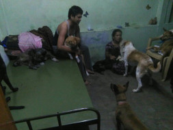 40 Paws need a shelter