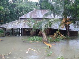 Help North Bihar to fight the flood......