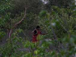 Tiger widows risk life for living, help set up their own business