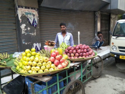 Help me to establish a business and survive
