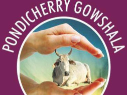 HELP US SAVE COWS