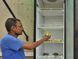 Food for all