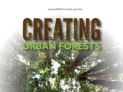 Plant Trees to bring back Glorious GREEN Cover