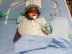 Help 7 Year Old Ananya Undergo A Liver Transplant