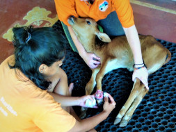 Help Deepa Get Back On Her Feet
