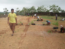 Help Tree Help Yourself - Tree Planting and Growing