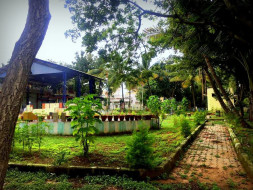 Help Beautify A Dilapidated Park!