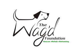 The Wag'd Foundation Rescue & Rehab Centre, Bangalore