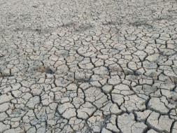 Drought Free Bundelkhand