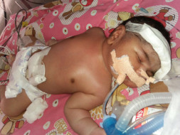 Help Mohamed Thahir