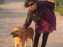Help Meelan Keep Up Feeding And Caring My 50-70 Stray Dogs
