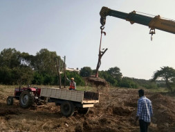 Save Whitefield - Tree Transplantation at Satya Sai Hospital