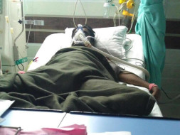 Help Sunny Fight For His Life