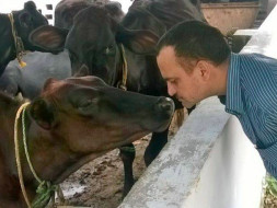 Help Stray Animals in BIHAR, India