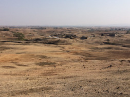 Help tribal farmers of Niwali to restore biodiverse jungle