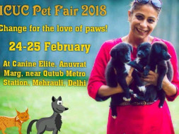 Help our indigenous pooches find a home. Because all paws are lovable