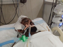 Help Medical aid for my friend sritej