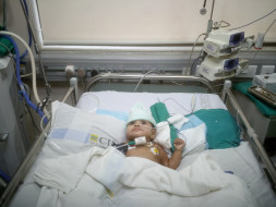 9 month old Viha needs your help to survive.