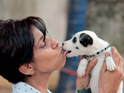 A Plea To Save My Animals And Their Home
