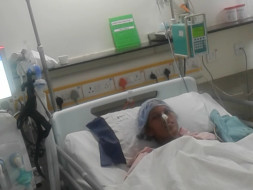 Help My Wife Rathna Fight Mystania Gravises