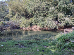 Help Clean The Dhobagadia Lake, The Source Of Life To Many