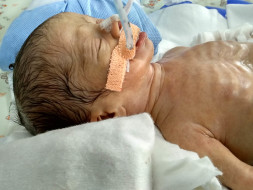 Help Priya save her premature twins